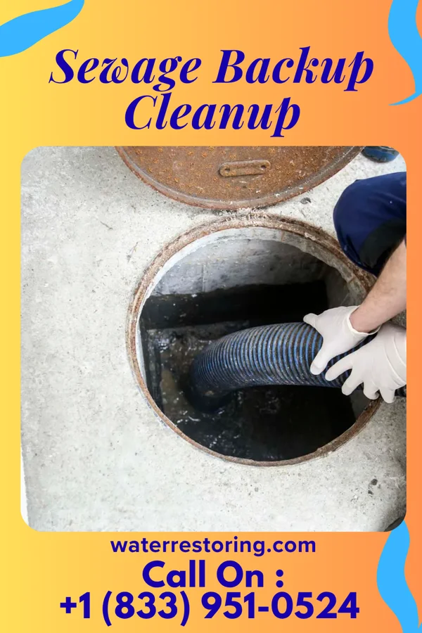 Sewage Backup Cleanup in Crescent Springs, OK